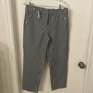 Loft Pants NWT
